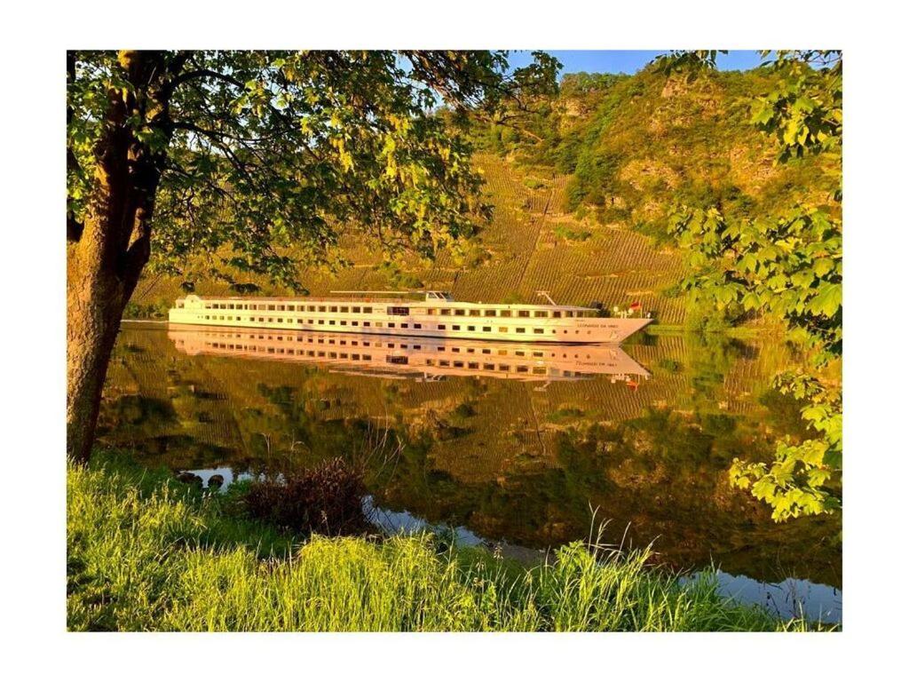 Halfenschaenke Modern Retreat Villa Piesport Eksteriør bilde